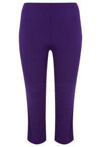 Tregging DOLCE - purple - #4